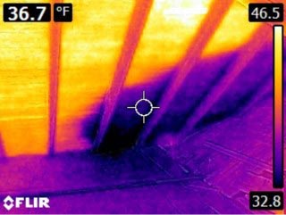 Thermal imaging water intrusion